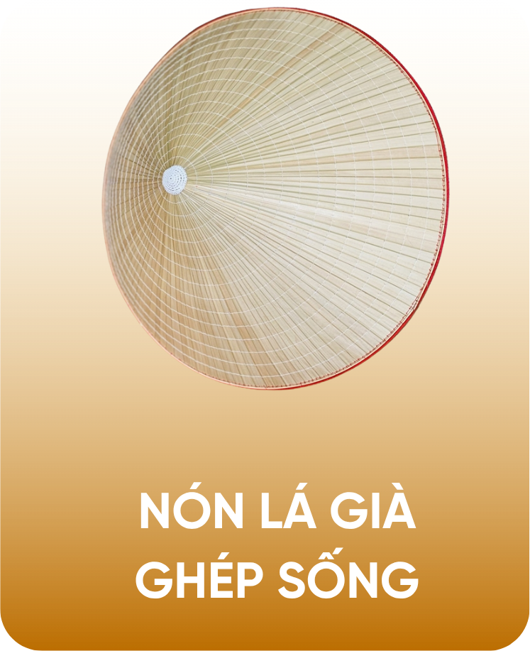 Nón lá già ghép sống
